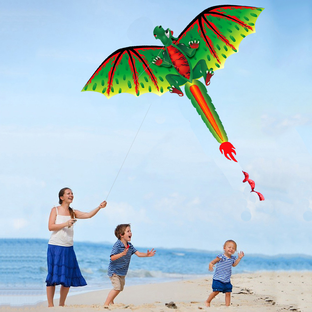 Kids Unique Outdoor Toys - 3D D Ragon K-ite Animal Kites
