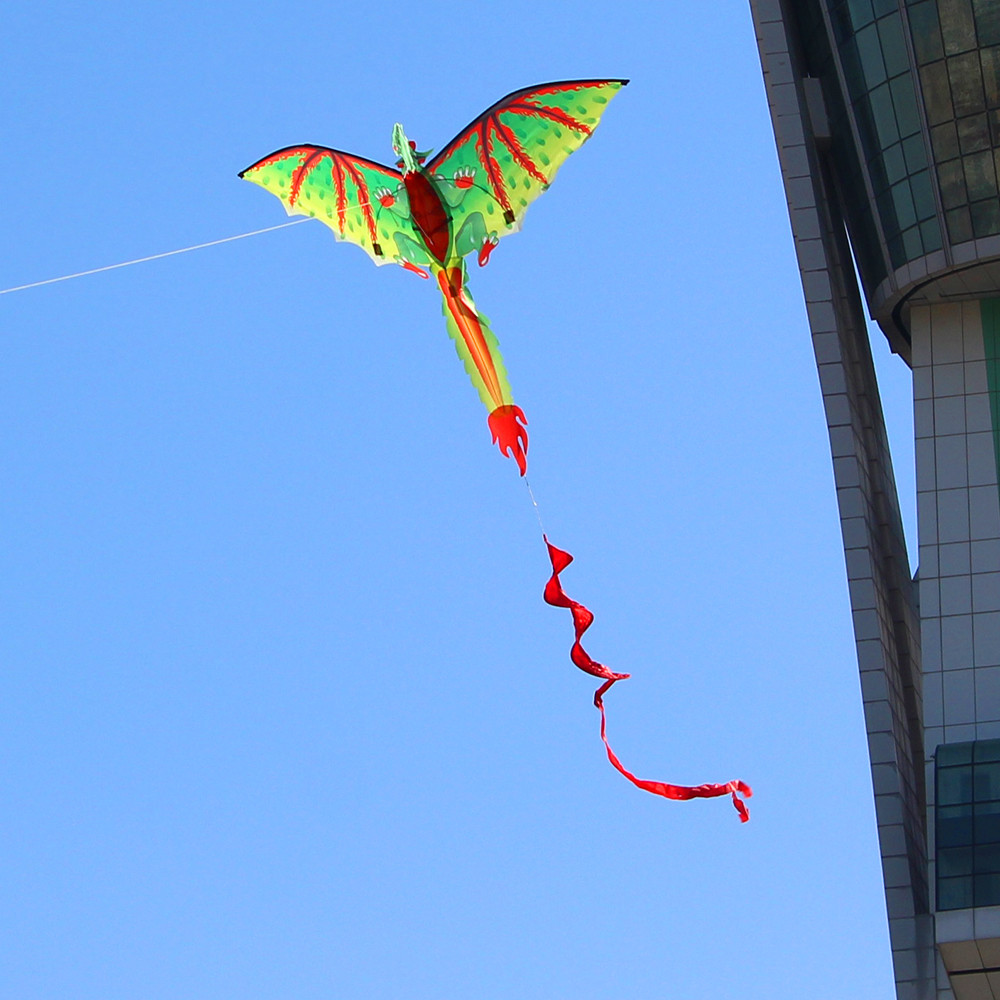 3D D Ragon K-ite Animal Kites  - Kids Unique Outdoor Toys avaliação e preço