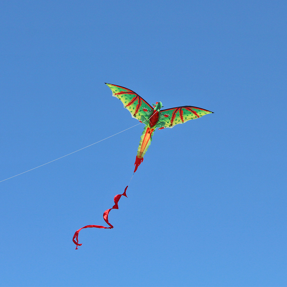 3D D Ragon K-ite Animal Kites  - Kids Unique Outdoor Toys avaliação e preço